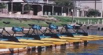 You can utilize an entire fleet of Hydrobikes at the right location.  Lineups to ride mean consistent revenue generation!